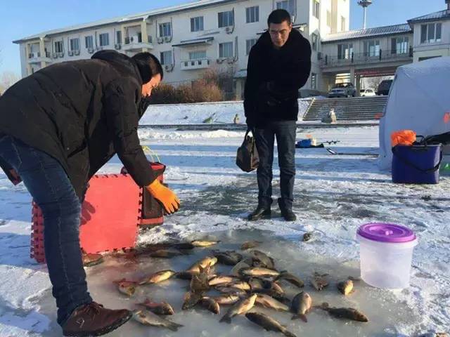 冰钓赛事,冰钓赛