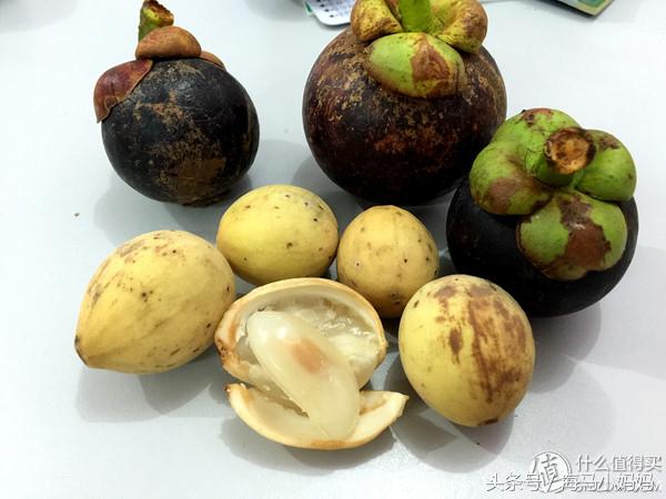 仙本那考潜水证日程,去仙本那潜水要考什么证