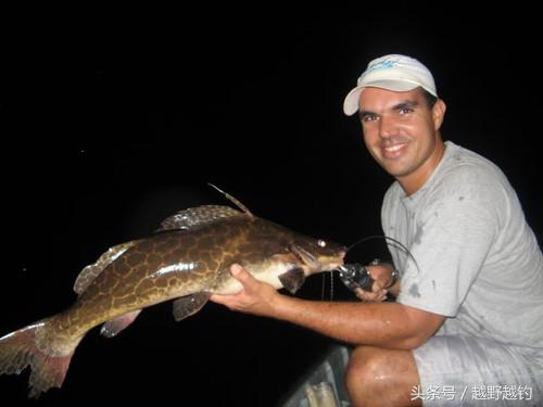 亚马逊钓鱼钓到最大的鱼,亚马逊钓到1吨的鱼
