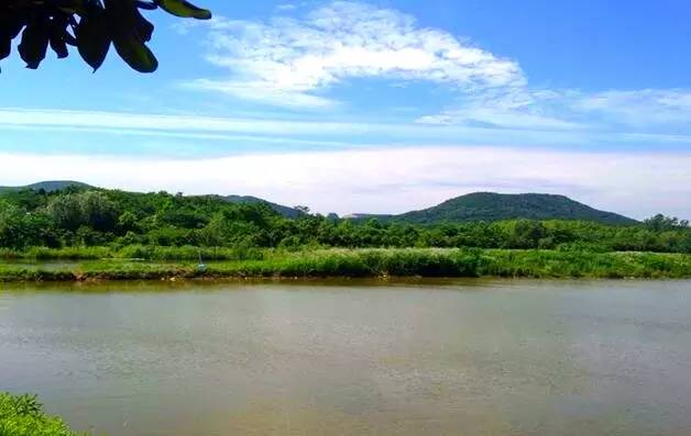 南京好玩的农家乐度假村排名,南京农家乐周末最值得一去的地方