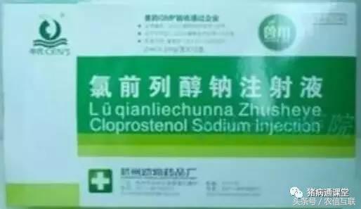 什么情况下母猪才算难产,母猪难产自己能排出来吗