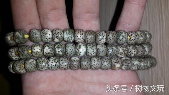 阴皮星月菩提包浆效果图,星月菩提走色的全过程