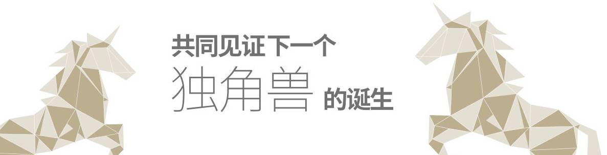 真格基金最新估值,真格基金投资流程