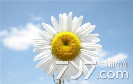 痔疮坐浴时需要把痔疮拉出来吗,痔疮怎么治疗用哪种痔疮药好