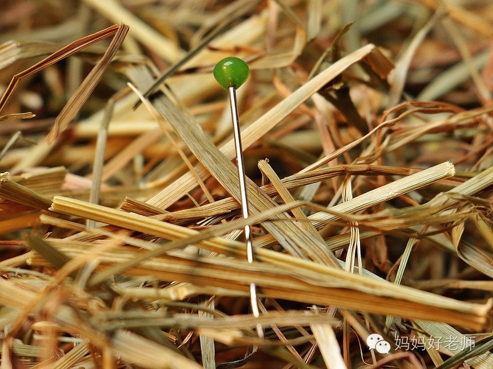 婚姻有人想逃离有人很珍惜,婚姻一旦有了离开的念头