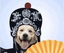 雨雪结伴来袭气温下降 (天气预报本周气温偏高有较大雨雪)