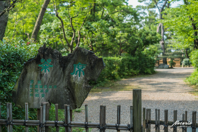 粉红猪小妹与小猪佩奇,粉红猪小妹的快乐生活