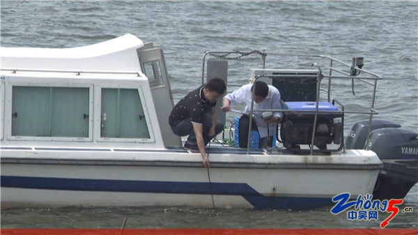 常州生态环境检测管理,常州环境监测治理