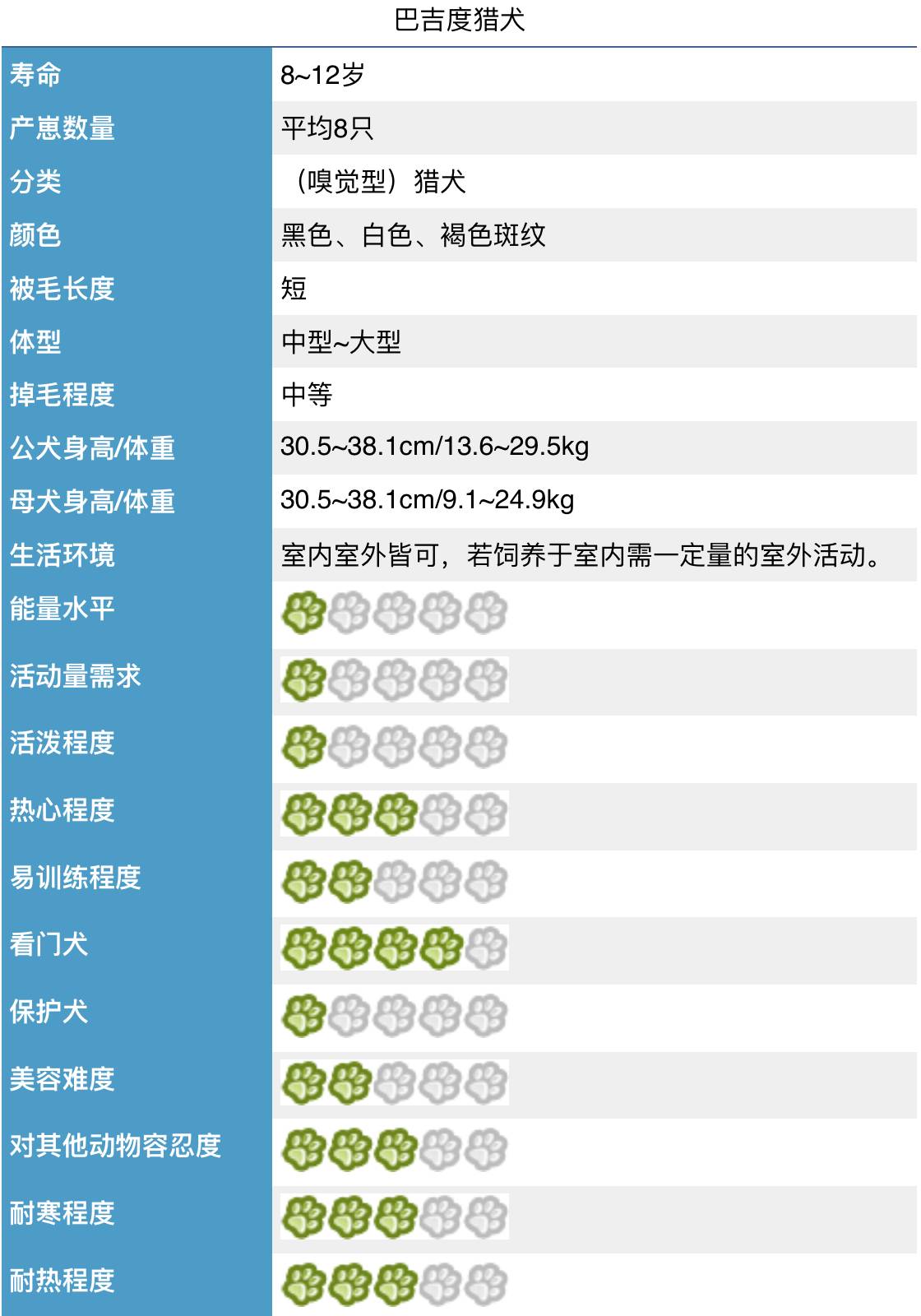 白色腿细细的那种狗是什么狗,细腿狗是什么狗