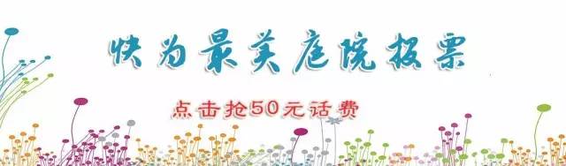 知秋叶,知秋叶紫