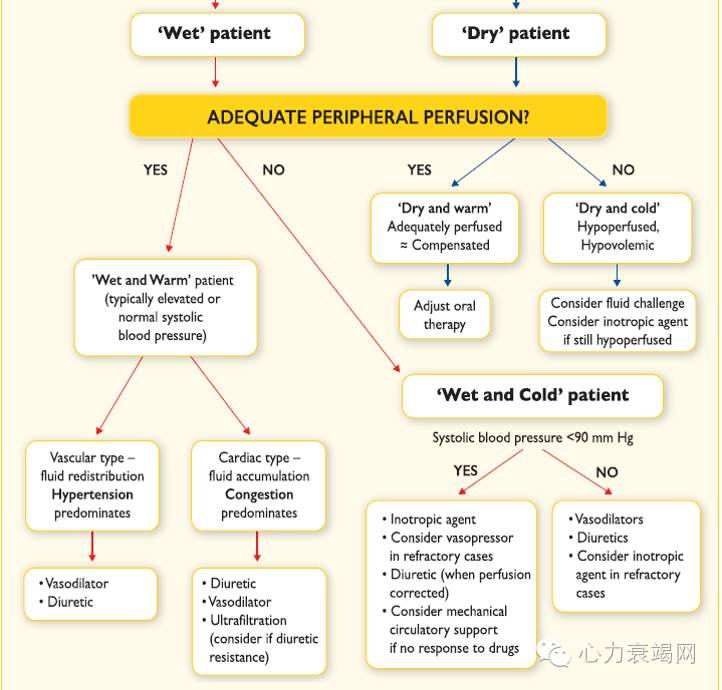 心衰专家张健,中国心衰诊断及治疗指南2018