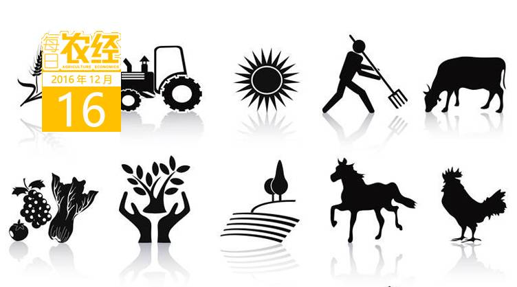 「快讯」阿胶5000¥/500g中国“满世界找驴”