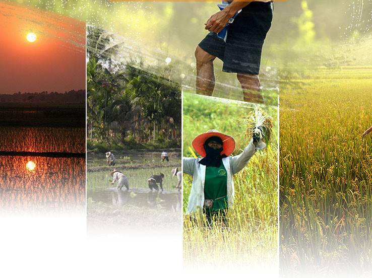 ins系列网红袜子可爱,ins系列网红袜子儿童