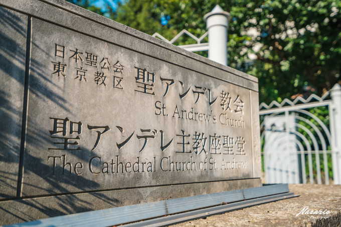 粉红猪小妹与小猪佩奇,粉红猪小妹的快乐生活