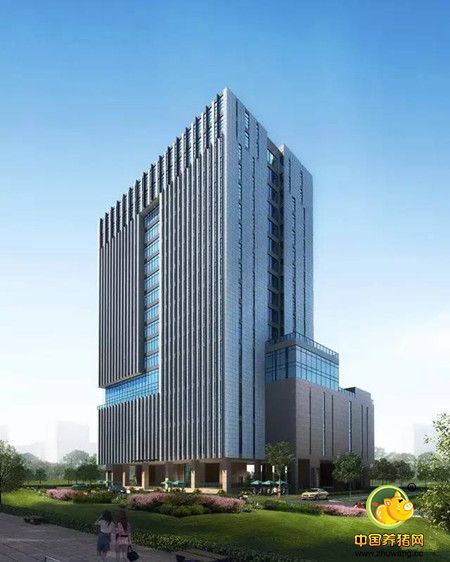 金新农20周年,金新农饲料2019