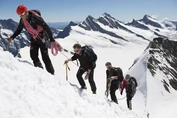 抓绒最高品质,抓绒的优缺点