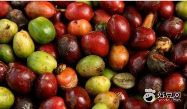 巴厘岛新婚礼物,巴厘岛婚礼甜点