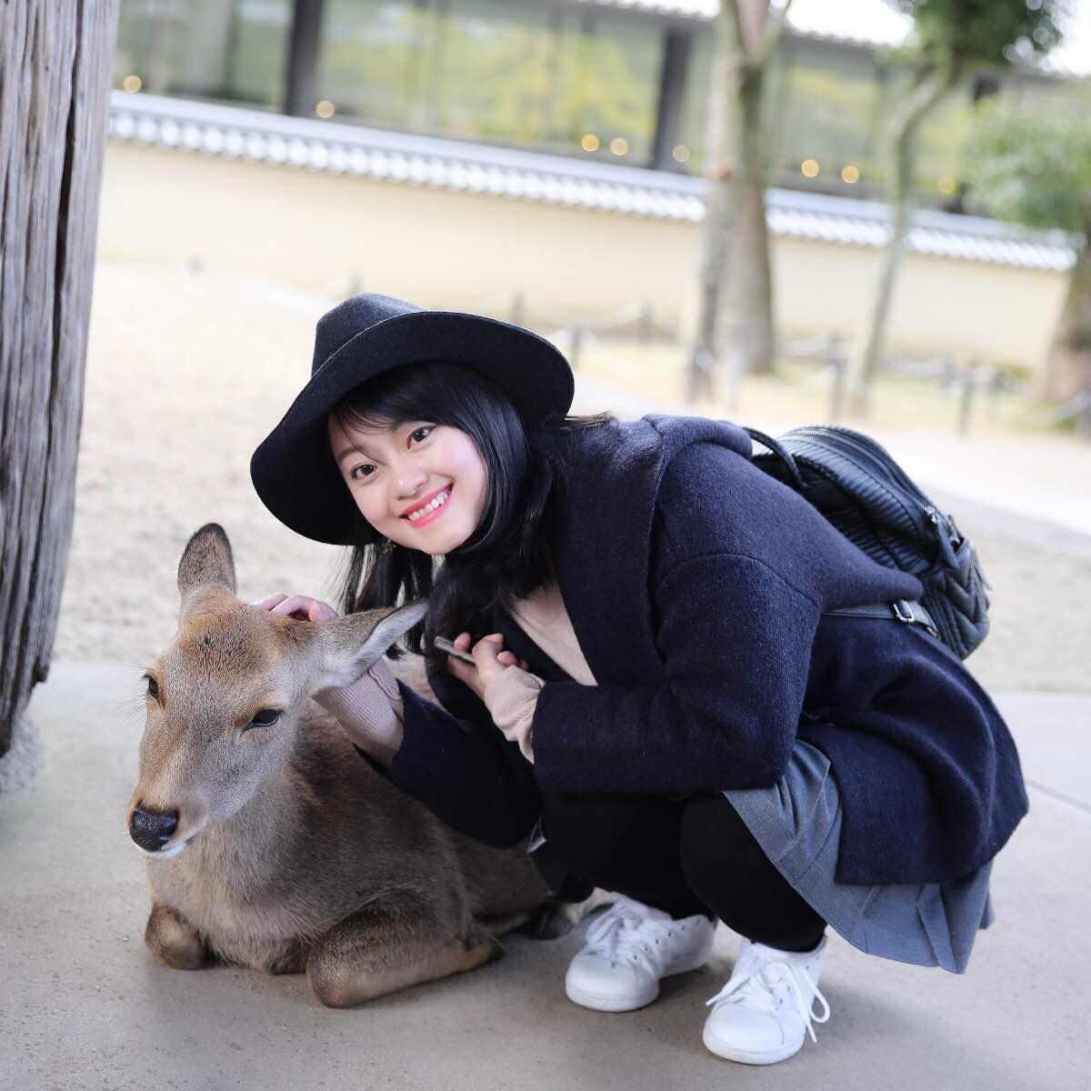 关西温泉六日游,大阪关西机场温泉