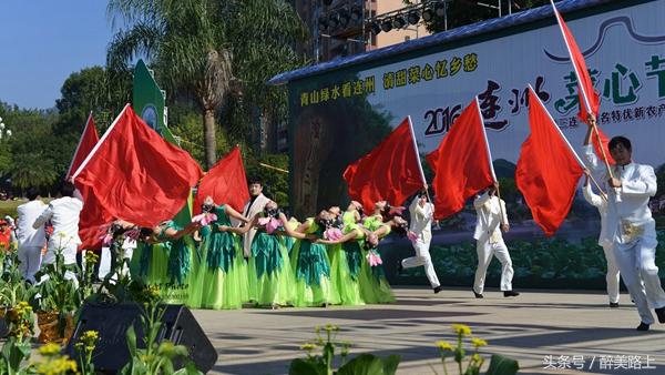 连州菜心拍卖最高价,至尊连州菜心什么价