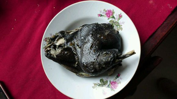 泰迪怀孕了会变得很瘦吗,泰迪怀孕后期为什么特别瘦