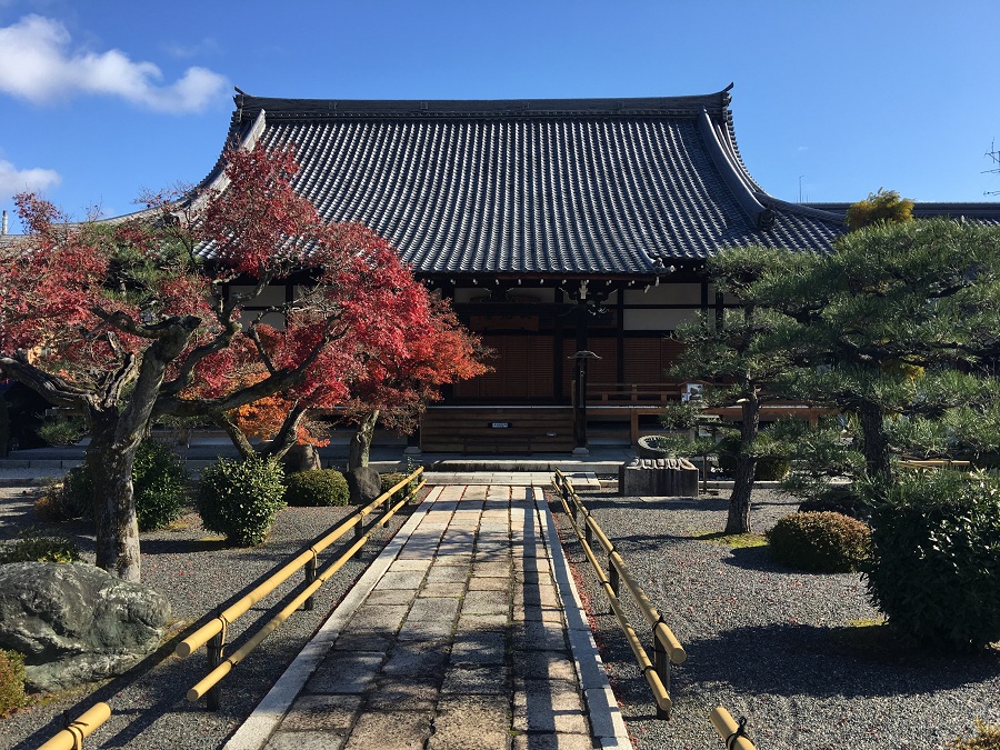 阿含桐山杯视频,阿含桐杯决赛视频完整版