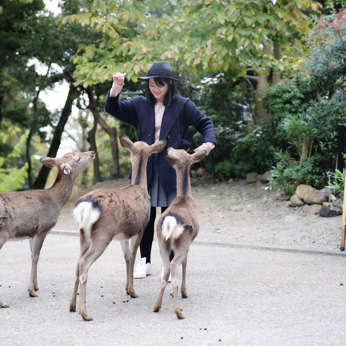 关西温泉六日游,大阪关西机场温泉