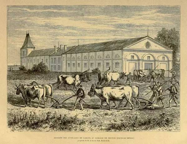 普洱茶要泡几次,普洱茶需要泡多少水