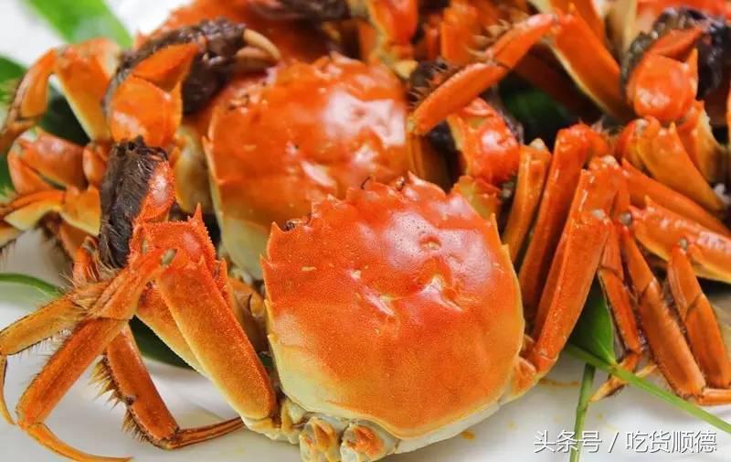 顺德有一家农庄,广东顺德生态农庄