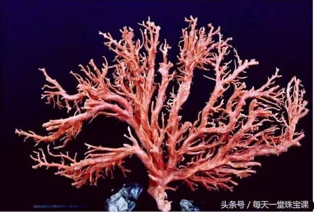 慈禧太后的八大箱金银珠宝讲解,慈禧太后最爱的三件私人物品