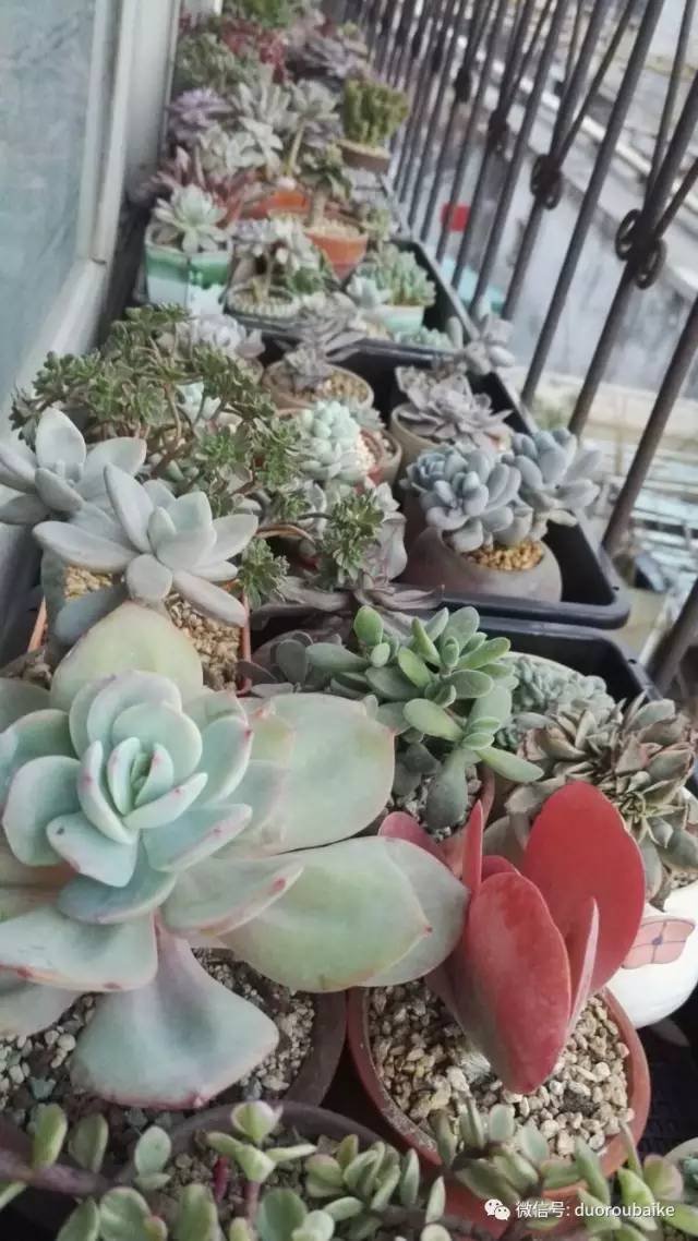 美好的时光带来快乐,美好的时光伴随着我