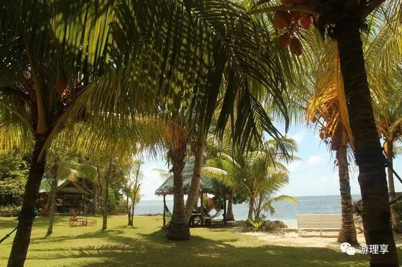 美丽的海岛帕劳风景,帕劳旅游攻略海岛