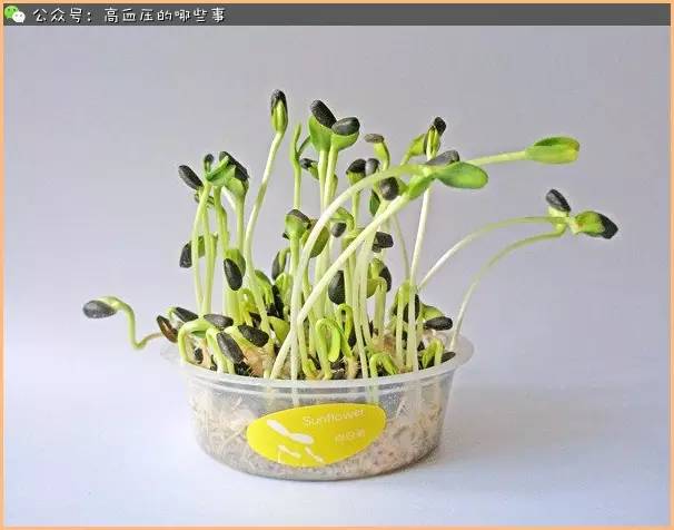 抗疲劳的食物推荐,抗衰老菜图片