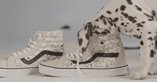 VANS和CONVERSE这些冷门鞋款，你还可以穿！