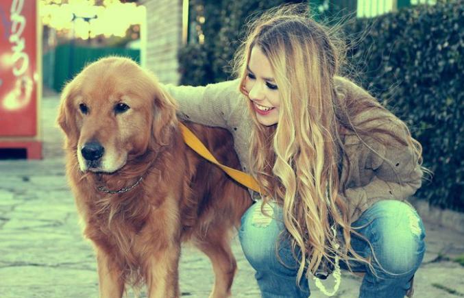 养狗之前请想好,养狗一定要知道的事