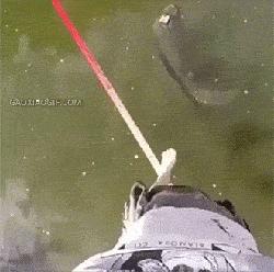 一个人在家觉得太孤单,女子一个人在家太孤单