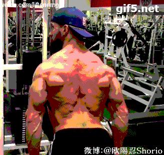 背部最佳增肌训练排行表,背部增肌徒手训练方法