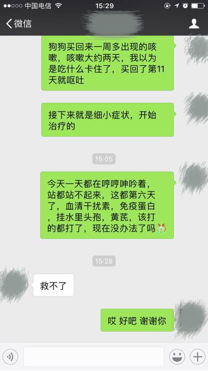 家里养的泰迪感冒了,才拿回家的泰迪会不会得细小犬瘟
