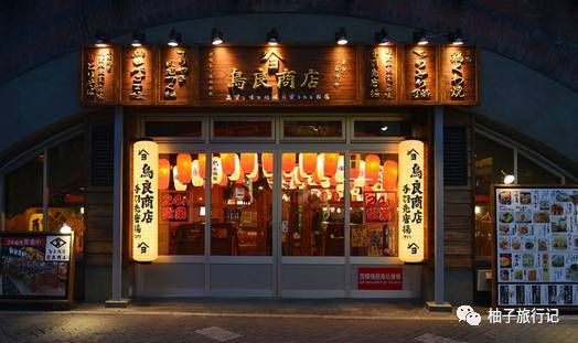 樱花旅行记全集视频,日本樱花7日游攻略大全