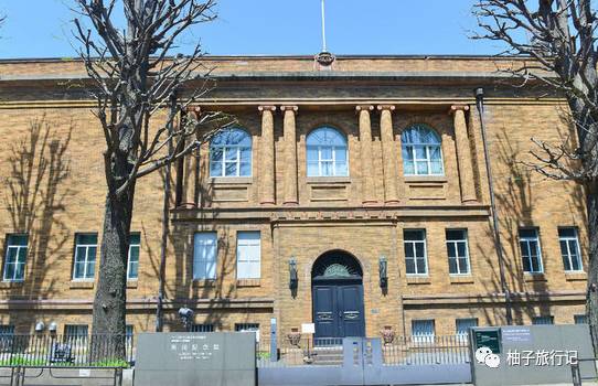 樱花旅行记全集视频,日本樱花7日游攻略大全