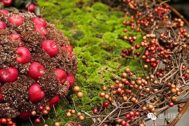 摆脱新手摄影第一道门槛,徕卡相机怎么选择