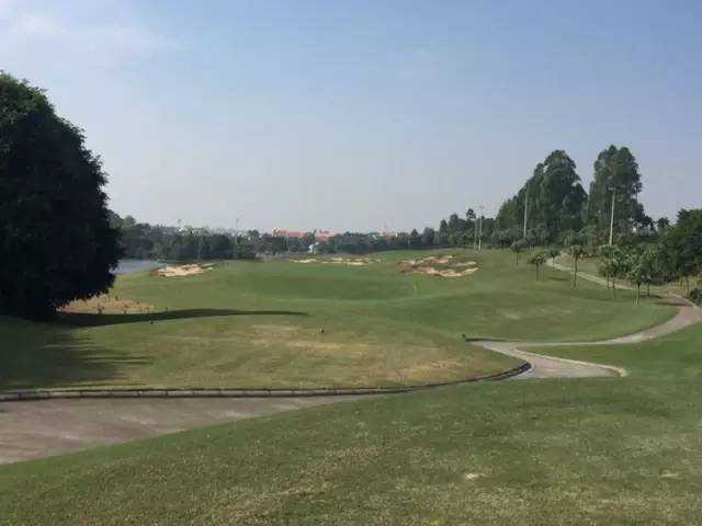 世界冠军专程助阵,为参赛球队提供总决赛球场最全攻略