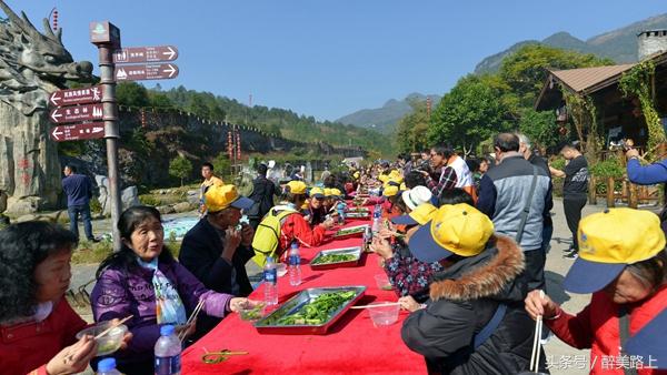 连州菜心拍卖最高价,至尊连州菜心什么价