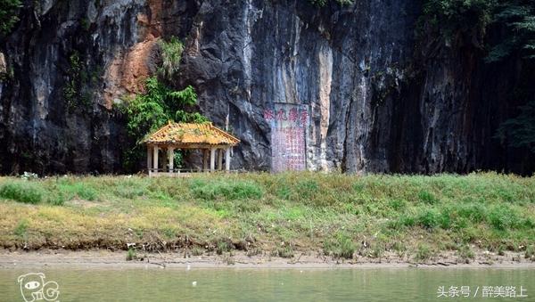 连州菜心拍卖最高价,至尊连州菜心什么价