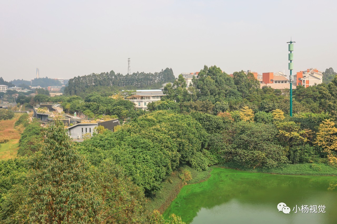 新旧老照片对比人物,新旧照片对比视频