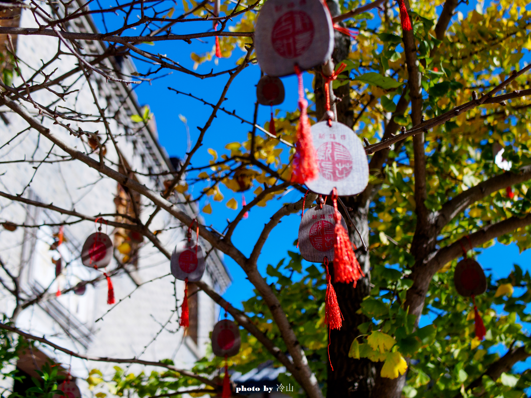 鍐伴洩濂崇帇濂ヤ綋,濂ヤ綋鍐伴洩