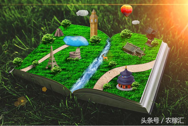 五常水稻种植成本与利润,五常种水稻优势