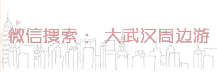 武汉有哪些适合学生游玩的地方,适合武汉大学生周末旅游的地方