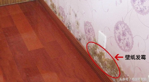 如何快速除去墙上的黑霉,快速除霉的办法