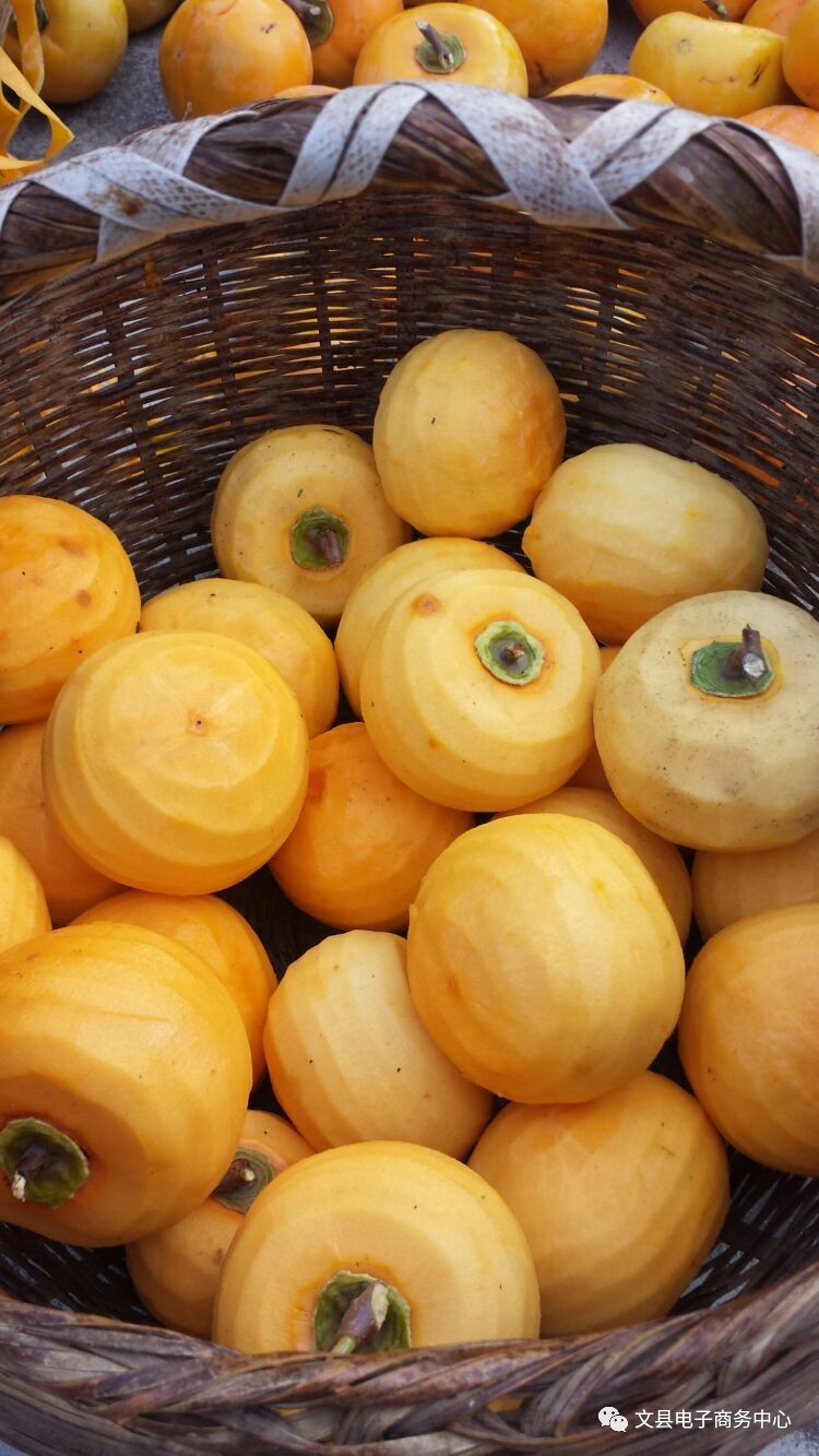 文县贾昌一个“胖子”变”瘦子“的过程