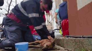 我的炫酷头盔,回头率百分百的头盔